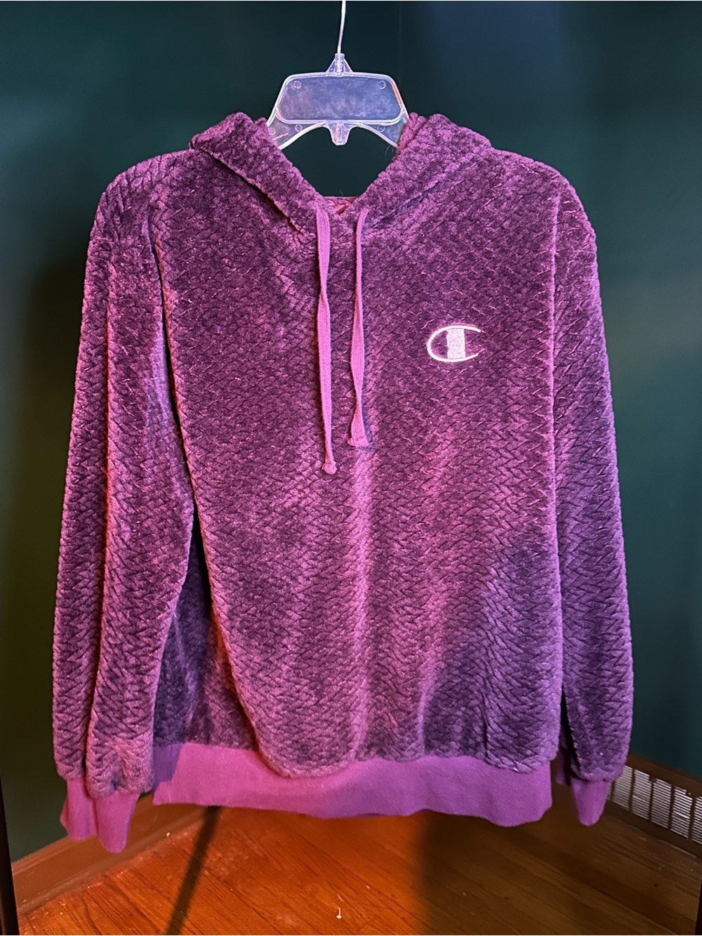 Champion Plush Hooded Sweatshirt in Deep Purple